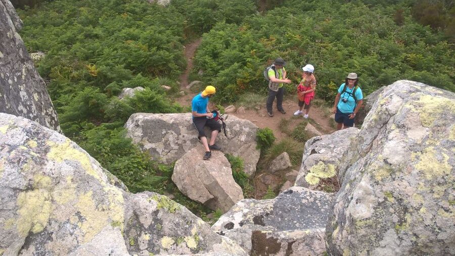 Sintra: Walking Tour with Palace, Castle, and Old Town Visit - Is $47 a fair price?