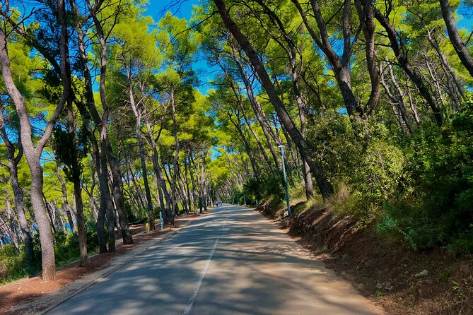 Split by Private Electric Rickshaw - Palace & Hidden Gems - Marjan Park, Obojena Svjetlost, and Kašjuni