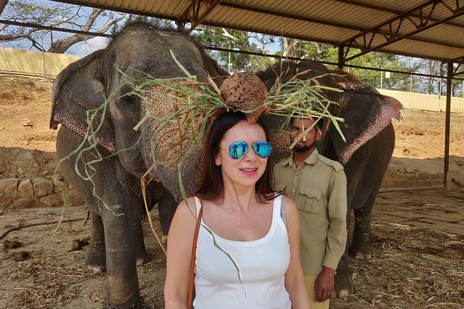 Story of Mysore Silk tour from Bangalore to experience Silk Weaving & Palace - The pace, transport, and practical trade-offs