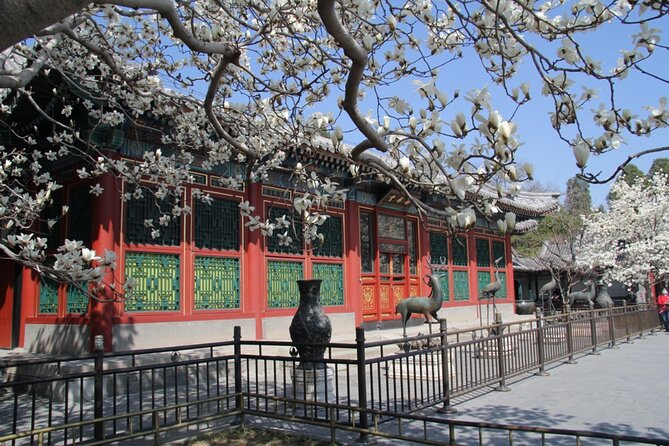 Summer Palace Ticket with optional Guided Tour - Why the Summer Palace is worth your Beijing time