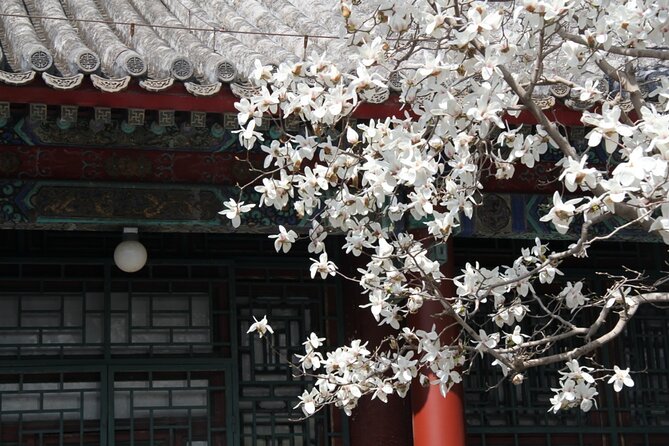 Summer Palace Ticket with optional Guided Tour - Choosing between a ticket and a guide