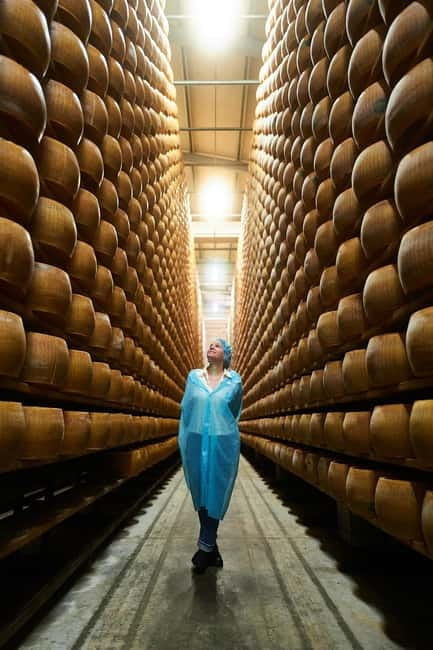 The Art of Parmigiano Reggiano & Aged Balsamic Vinegar - At Acetaia Malagoli Daniele, the barrels tell the story