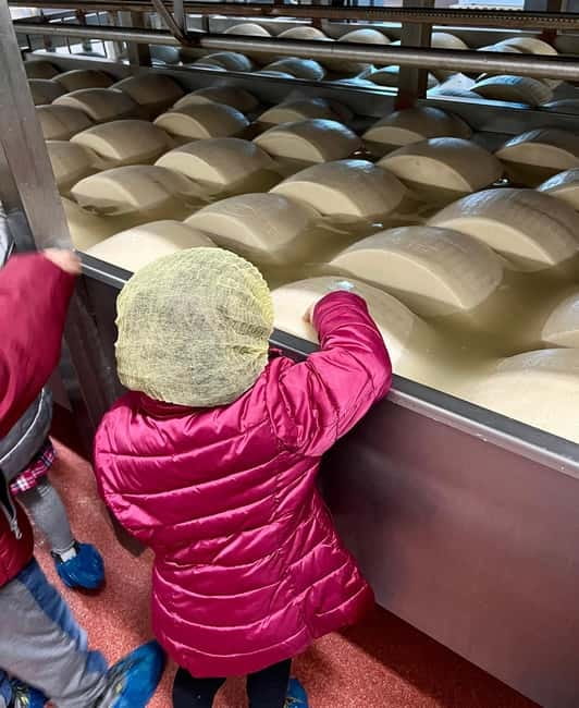 The Art of Parmigiano Reggiano & Aged Balsamic Vinegar - Should you book the Parmigiano and balsamic tour?