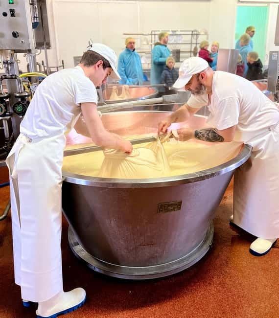 The Art of Parmigiano Reggiano & Aged Balsamic Vinegar - At Caseificio Bio Reggiani, Parmigiano starts with the cows