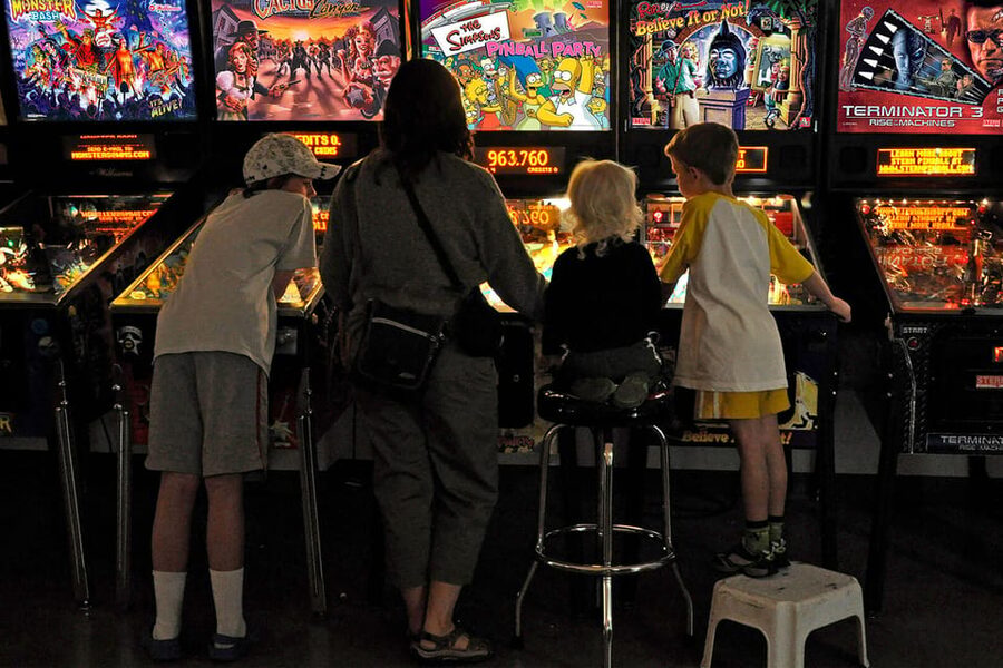 The Pinball Palace at Dezerland Park Admission - Who will enjoy The Pinball Palace most?
