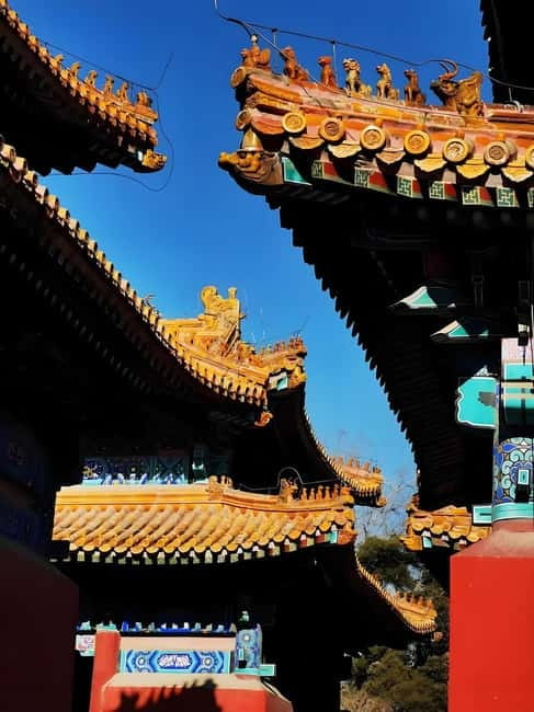 Tickets to all Beijing attractions (Forbidden City optional) - The booking details that matter most