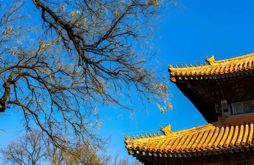 Tickets to all Beijing attractions (Forbidden City optional) - The Forbidden City and Tiananmen Square
