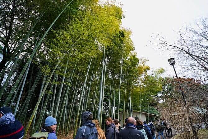 Tokyo Castle & Imperial PalaceーShogun Walking Tour - Why Edo Castle makes a smart first history walk in Tokyo