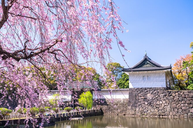 Tokyo: Edo Castle & East Garden of the Imperial Palace Tour - Key points at a glance