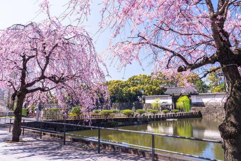 Tokyo: Edo Castle & East Garden of the Imperial Palace Tour - Practical value at $42