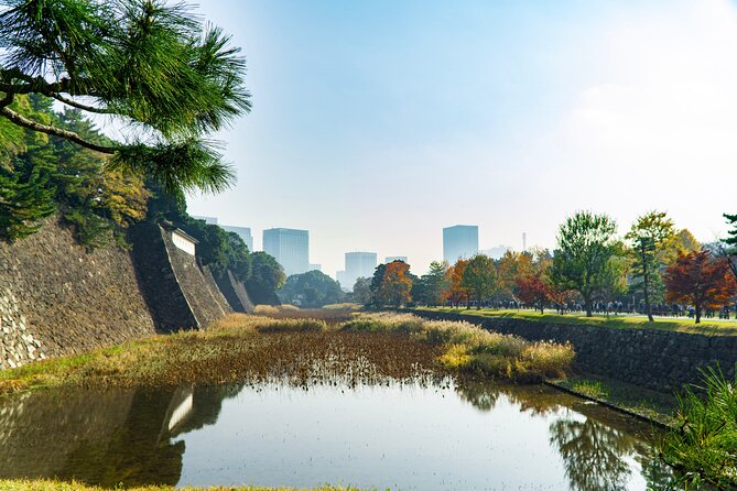 Tokyo: Edo Castle & East Garden of the Imperial Palace Tour - Why Edo Castle’s East Gardens matter