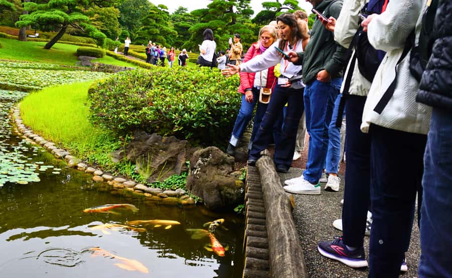Tokyo: Imperial Palace Japanese History Walking Tour - Meeting at Wadakuramon fountain