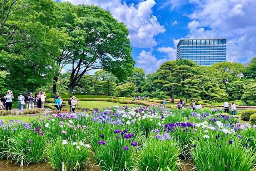 Tokyo: Pvt. Tour - Edo Castle & Imperial Palace East Gardens - Ninomaru Garden and the pleasure of slowing down