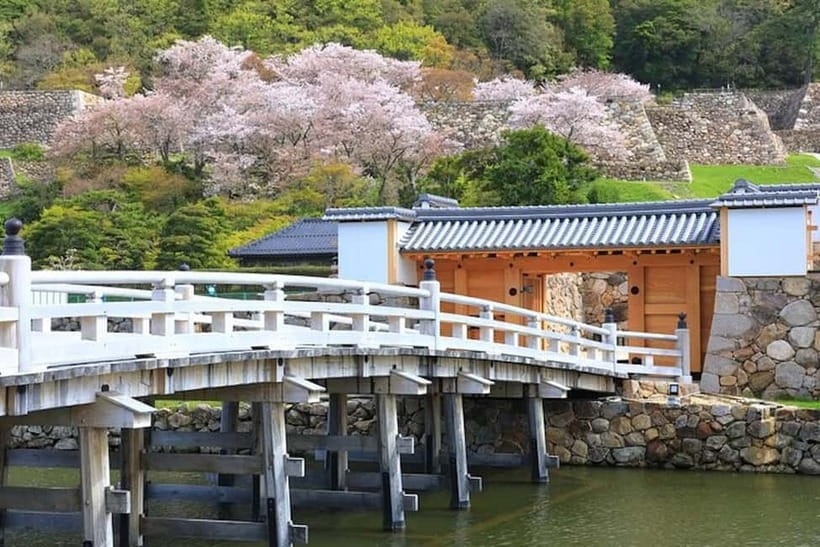 Tokyo: Pvt. Tour - Edo Castle & Imperial Palace East Gardens - Who will enjoy this experience most?