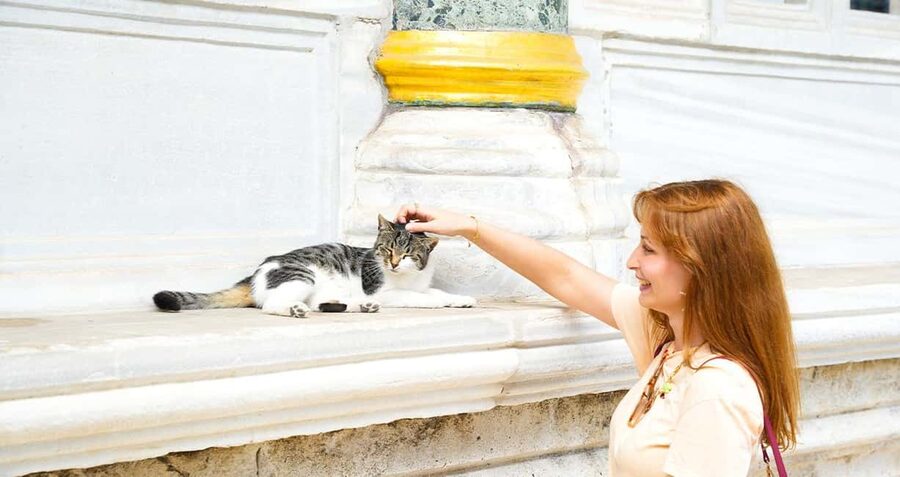 Topkapi Palace & Harem Tour + Bosphorus & Golden Horn Cruise - Choosing the right order and time