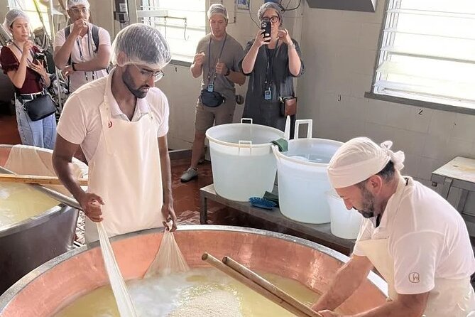 Tour Parmigiano Reggiano dairy and Parma ham - What you actually taste