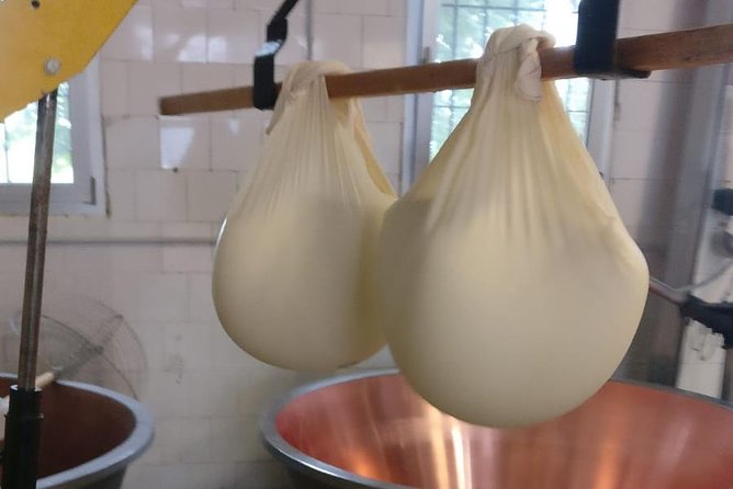 Tour Parmigiano Reggiano dairy and Parma ham - Timing, group size, and practical planning