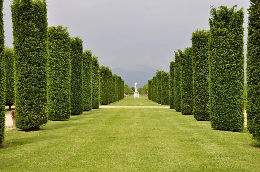 Turin: Palace of Venaria Guided Tour - Why the Palace of Venaria Is Worth the Trip from Turin
