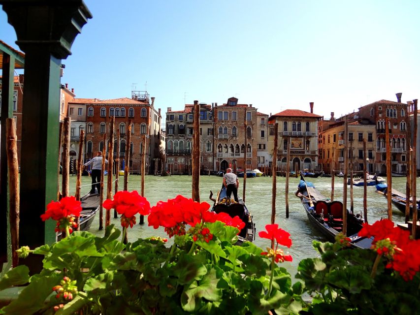 Venice: Basilica and Doge's Palace Tour with Gondola Ride - How to judge the $158.60 price