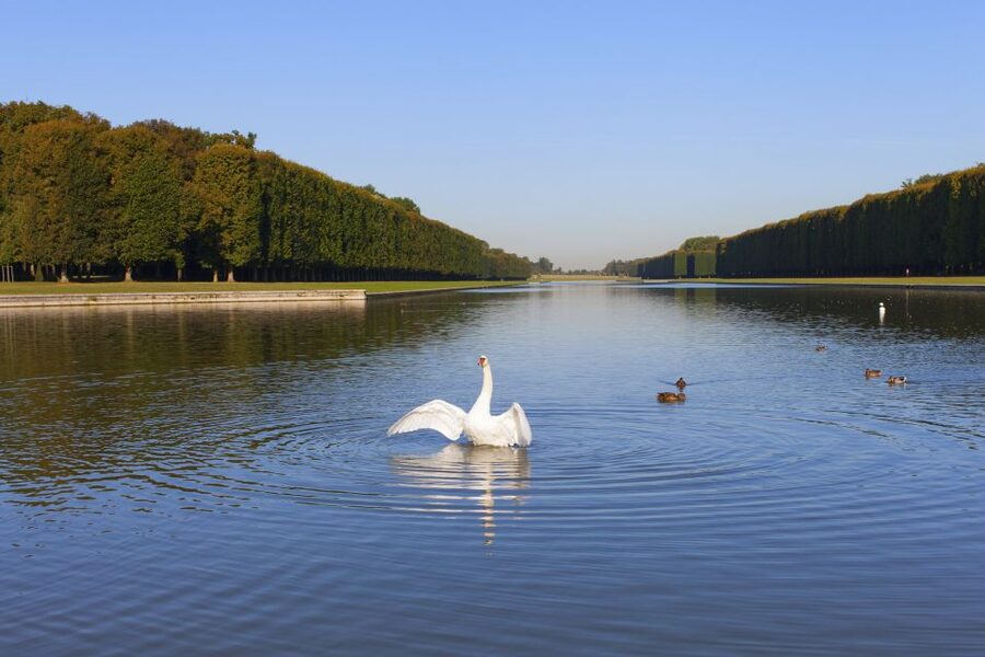 Versailles: Skip-the-Line Guided Tour of Palace with Gardens - Should You Book This Versailles Tour?
