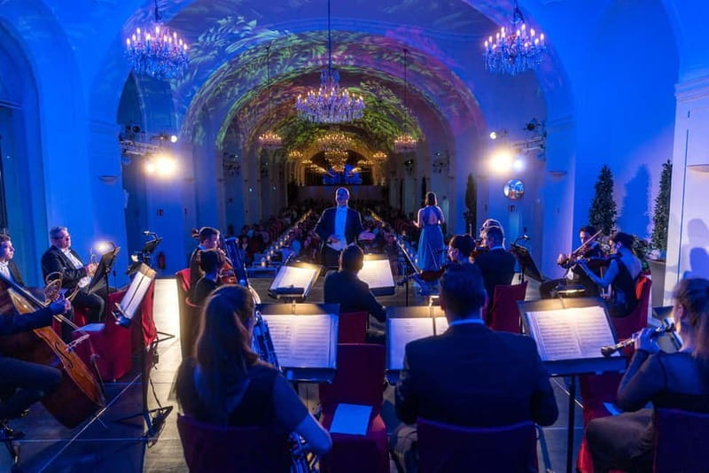 Vienna: Mozart and Strauss Concert at Schönbrunn - Concert venues beyond the Orangery