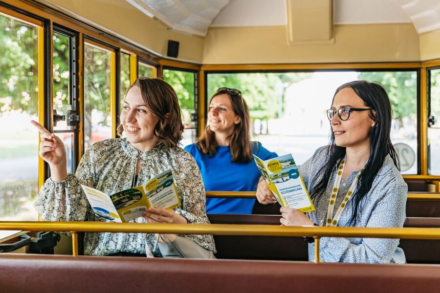 Vienna: Panorama Train Tickets to explore Schönbrunn Palace - Reaching the Gloriette without the uphill walk