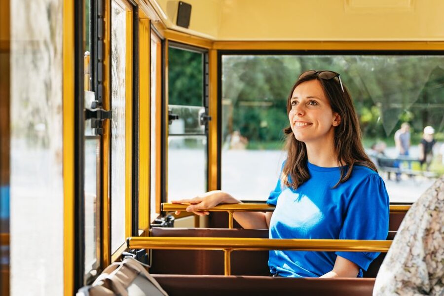 Vienna: Panorama Train Tickets to explore Schönbrunn Palace - Crowds, boarding, and comfort