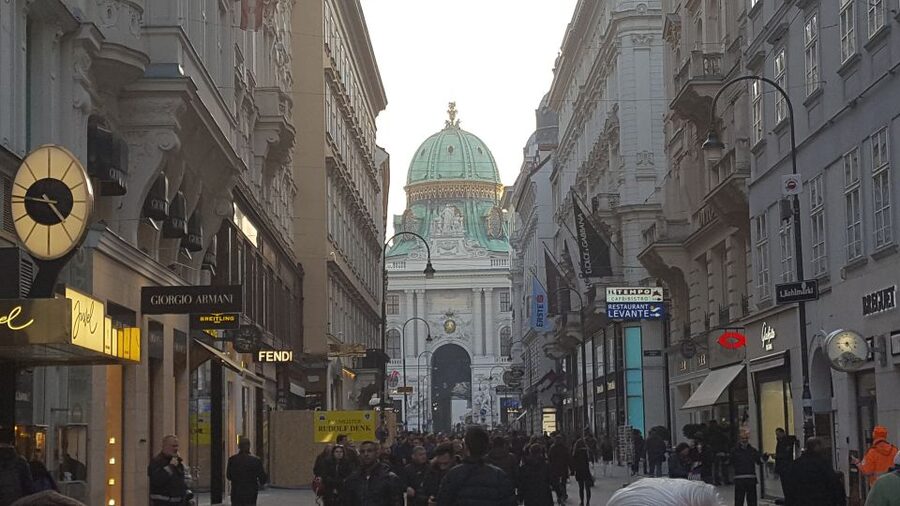 Vienna: Schönbrunn Palace and City Center Guided Tour - St. Stephen’s Cathedral as the final landmark