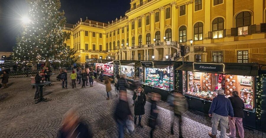 Vienna: Schönbrunn Palace & Christmas Market Walking Tour - Schönbrunn Palace gives the tour its shape