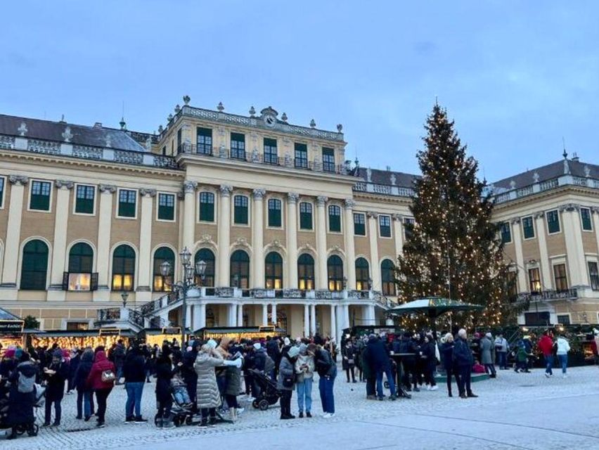Vienna: Schönbrunn Palace & Christmas Market Walking Tour - Who will enjoy this tour most