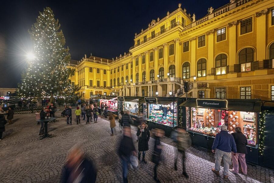 Vienna: Schönbrunn Palace & Christmas Market Walking Tour - What you see inside the palace