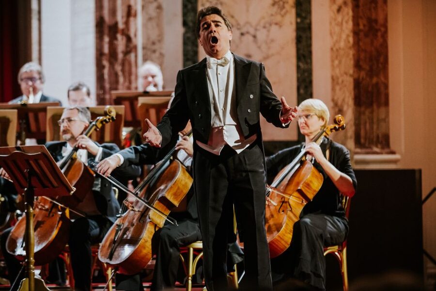 Vienna: Strauss and Mozart Concert at Hofburg Palace - Is $106 a fair price?