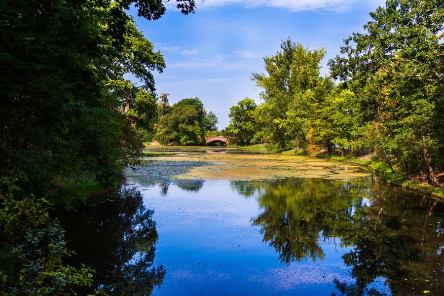 Warsaw Private Wilanow Palace & Garden Tour - Should you book the Wilanów Palace tour?