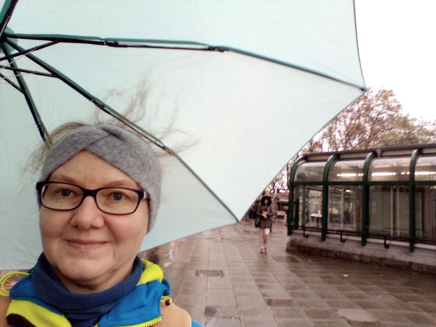 Wien: Tours with locals by public transport & walking - What the pace feels like on the day