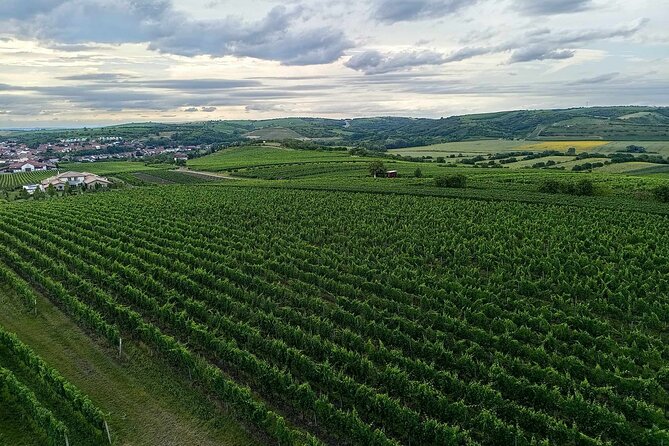 Wine Culture and UNESCO Gems Lednice Valtice Area and Mikulov - What the $210.56 Price Buys You